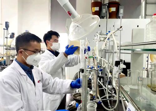 國家能源集團PAO基礎油成套技術 填補國內空白，引領環境科技高質量發展